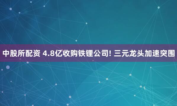 中股所配资 4.8亿收购铁锂公司! 三元龙头加速突围
